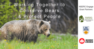 A grizzly bear in a natural setting, emphasizing conservation efforts for bears and human safety.